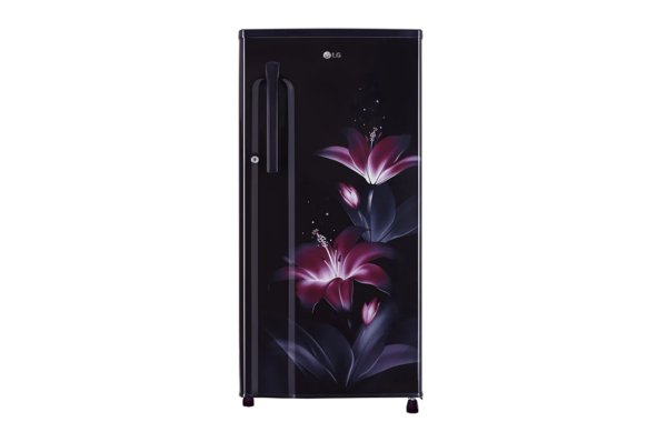 GL-B191KPGD-Refrigerators-Front-View-D-01