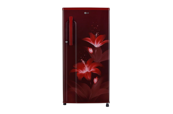 GL-B191KRGD-Refrigerators-Front-View-D-01