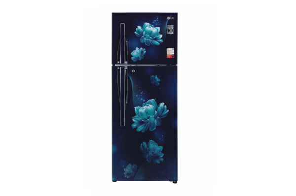 GL-T302RBCX-Refrigerators-Front-View-DZ-01